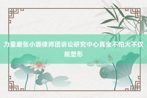 力量磨张小璐律师团诉讼研究中心真金不怕火不仅能塑形