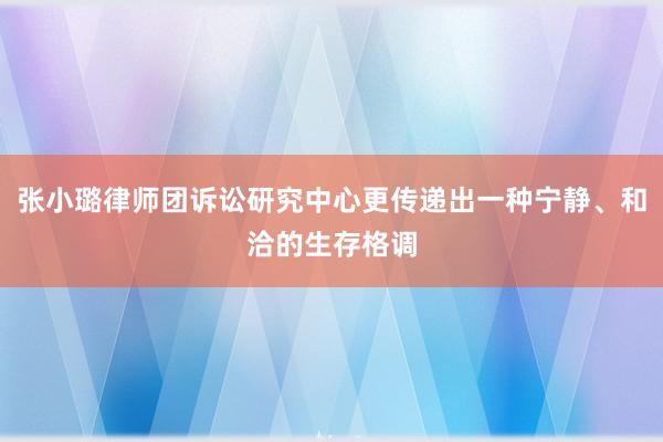 张小璐律师团诉讼研究中心更传递出一种宁静、和洽的生存格调