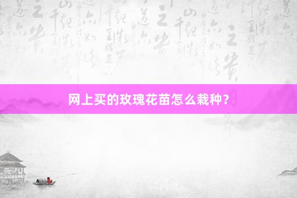 网上买的玫瑰花苗怎么栽种？