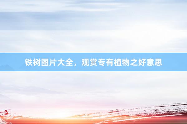 铁树图片大全,观赏专有植物之好意思