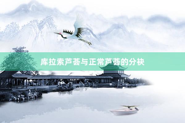 库拉索芦荟与正常芦荟的分袂