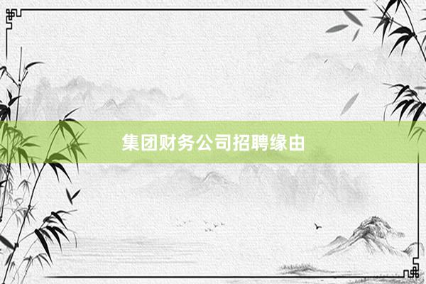 集团财务公司招聘缘由